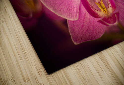 Matangi Orchid Sofian Photography puzzle