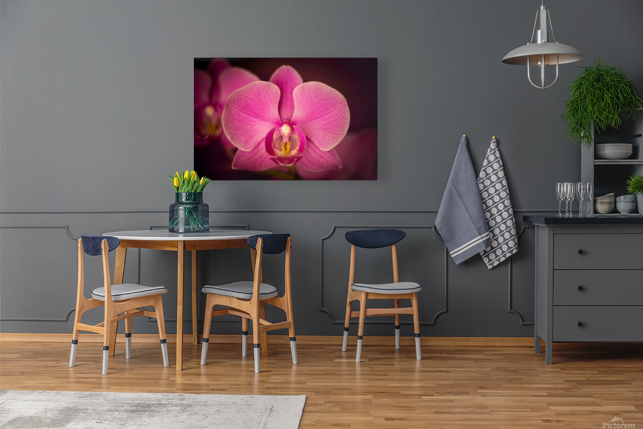 Matangi Orchid Reproduction