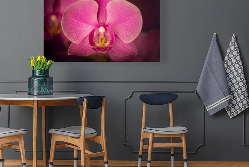 Matangi Orchid Reproduction