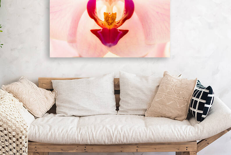 Archangel Orchiel by Sofian Photography