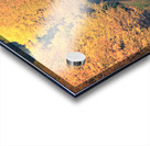 Chemin dautomne Acrylic print