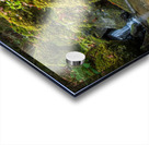 Jurassique Acrylic print