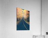 Chemin dautomne Acrylic Print