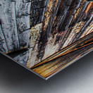 Trace de vieillissement Metal print