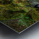 Jurassique Metal print