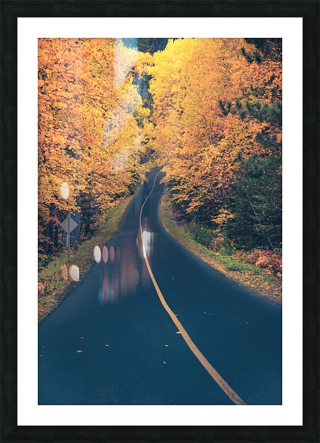 Chemin dautomne Picture Frame print