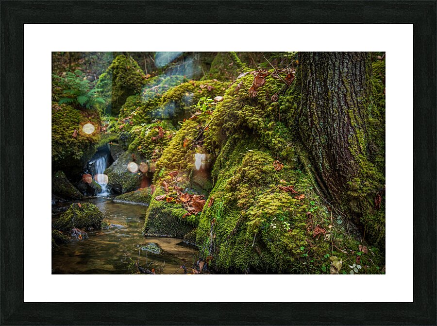 Jurassique Picture Frame print