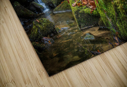 Jurassique Martin Gaudreault artiste photographe puzzle