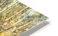 Reflets HD Metal print