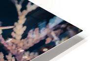 Bleue HD Metal print