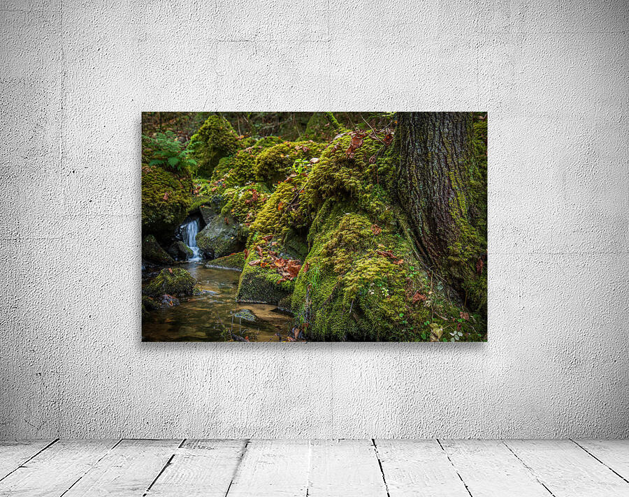 Jurassique Wall Preview