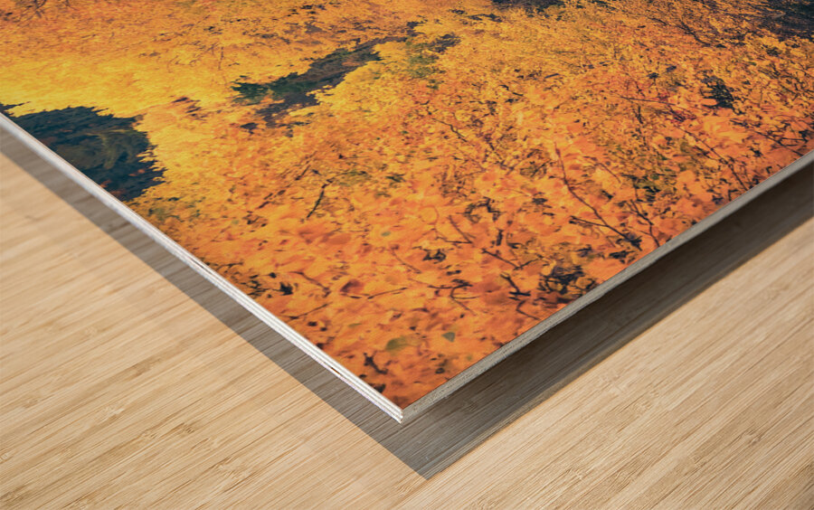 Chemin dautomne Wood print