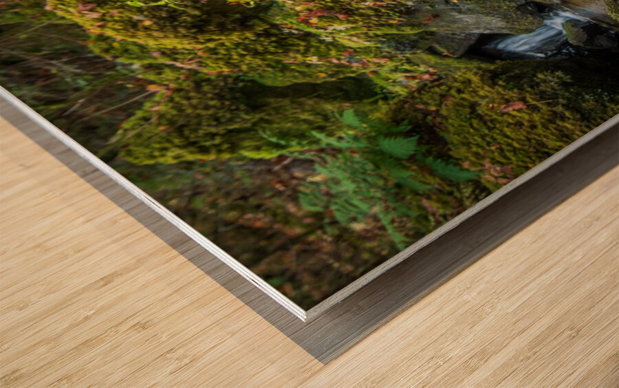 Jurassique Wood print