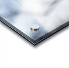 Eagle Scan Acrylic print