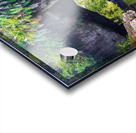 NZ2 9277 Acrylic print