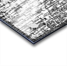 Shadow Forest Acrylic print