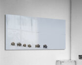 DAV 9402 Acrylic Print