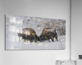 DAV 0270 Acrylic Print