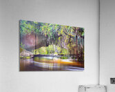 NZ2 9277 Acrylic Print