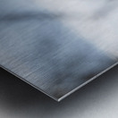 Eagle Scan Metal print