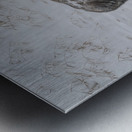 DAV 0270 Metal print