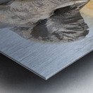 Squaring up Metal print
