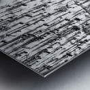 Shadow Forest Metal print