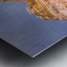 gcww DSC4125 Metal print