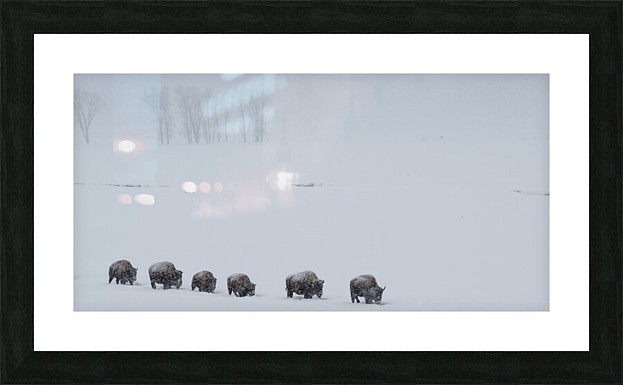 DAV 9402 Picture Frame print