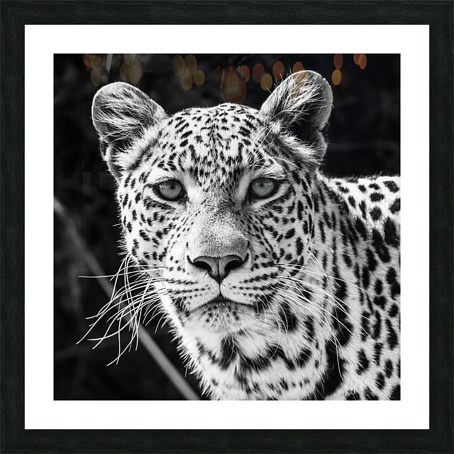 Leopard Portrait Picture Frame print