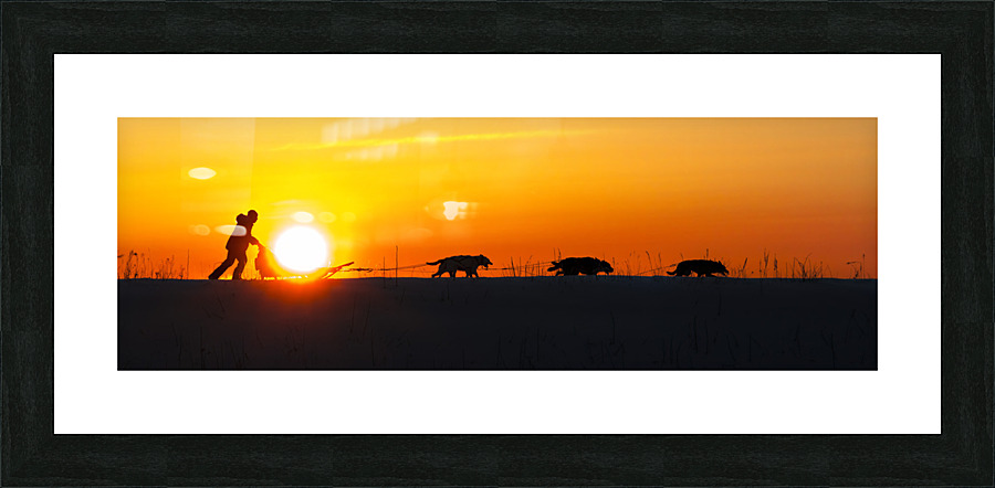 Taking home the sun Picture Frame print