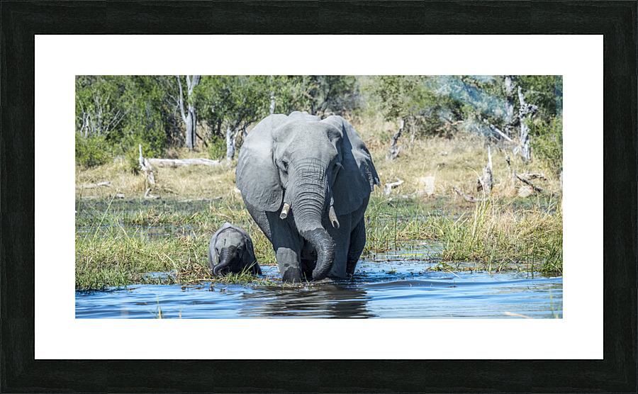 Twist Picture Frame print