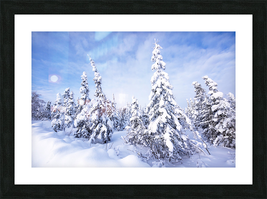 Snowy pines Picture Frame print