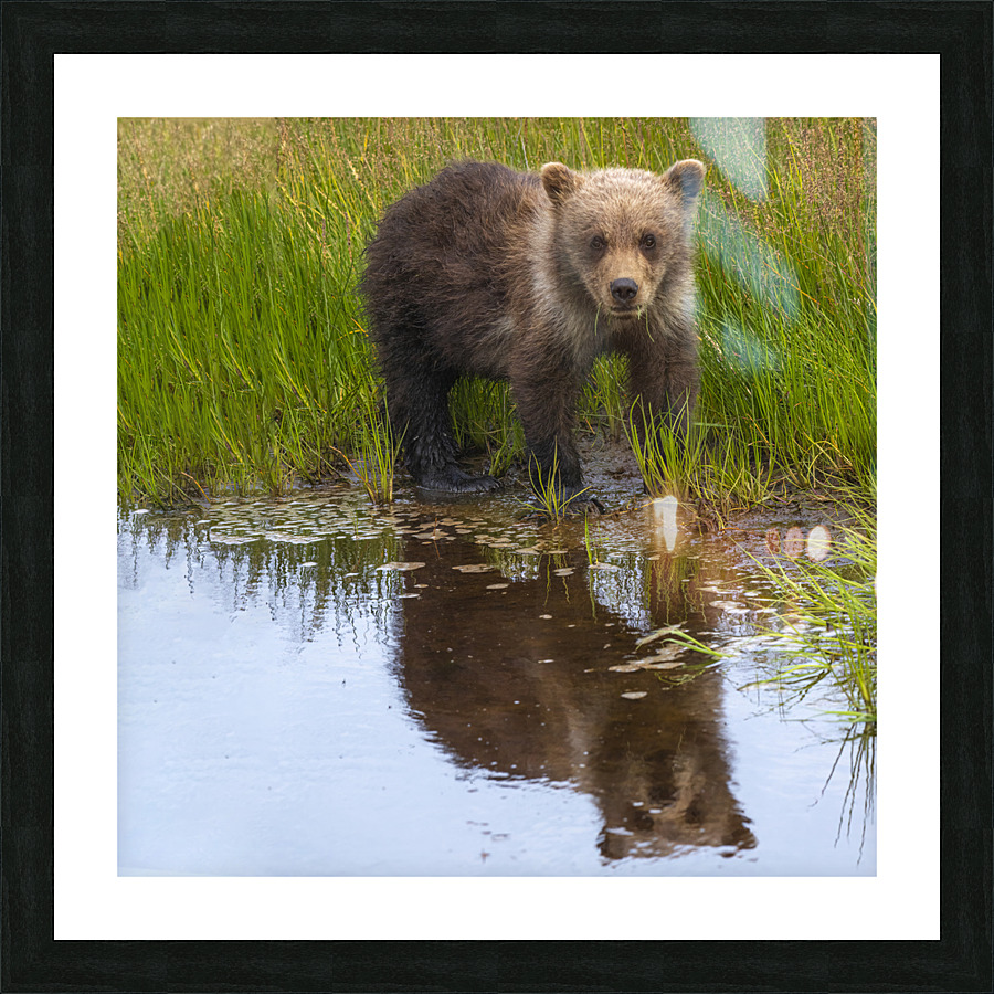 Muddy Paws Picture Frame print