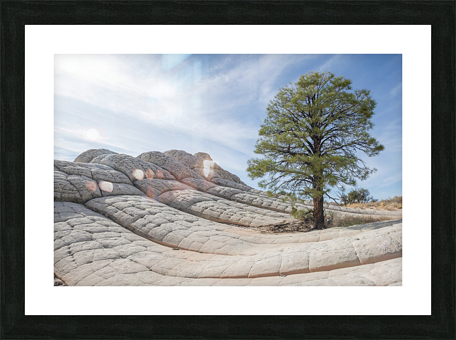 White Pocket Lone Tree Picture Frame print