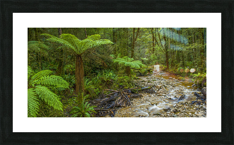 Fern river NZ Picture Frame print