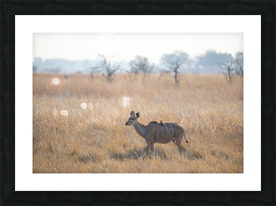 Art g DN1 0180 Picture Frame print