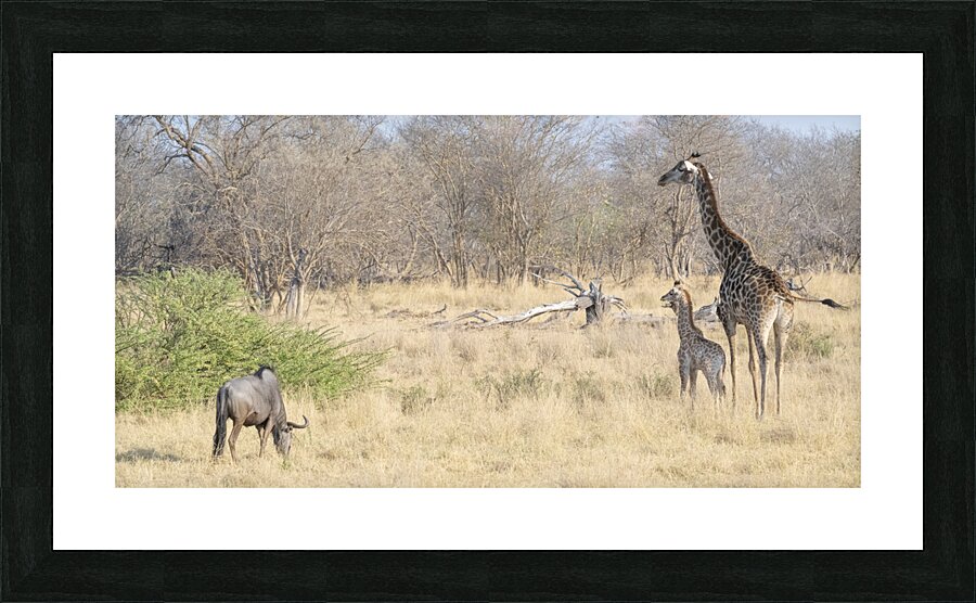 Art cw DN2 6486 Picture Frame print