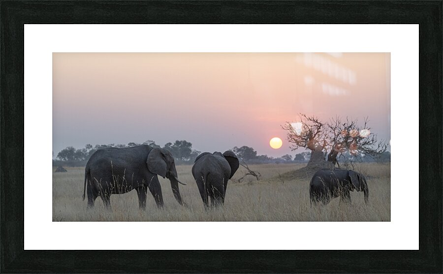 Art gDN1 5035 Picture Frame print
