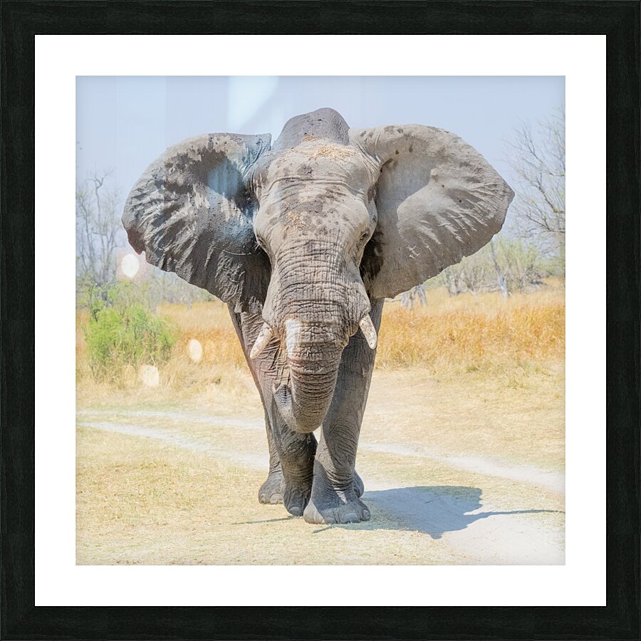 Squaring up Picture Frame print