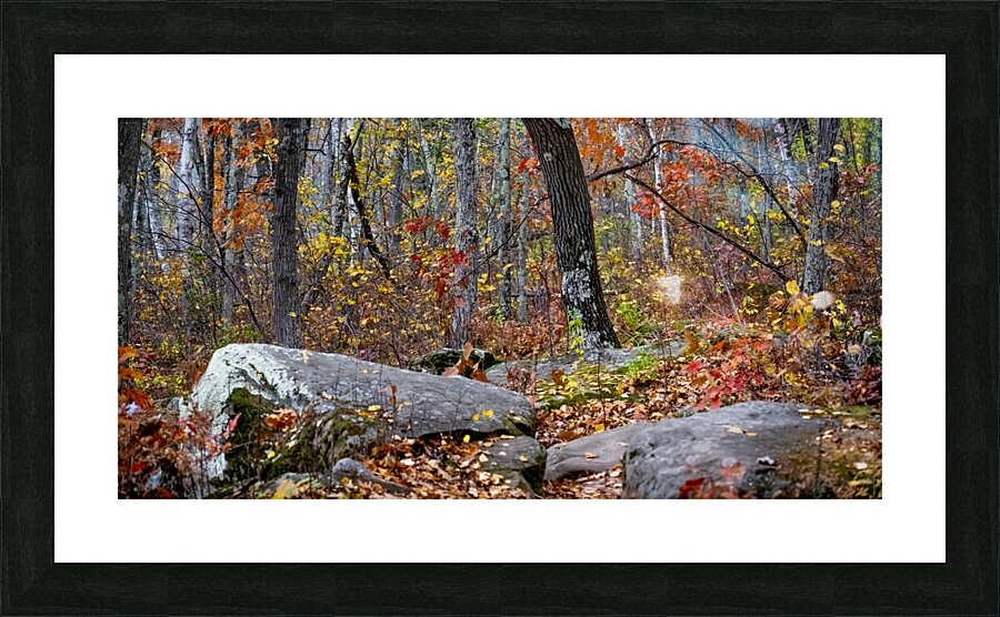 Autumn Leaves Picture Frame print