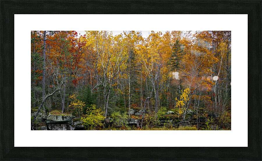 g cw DN2 9624 Picture Frame print