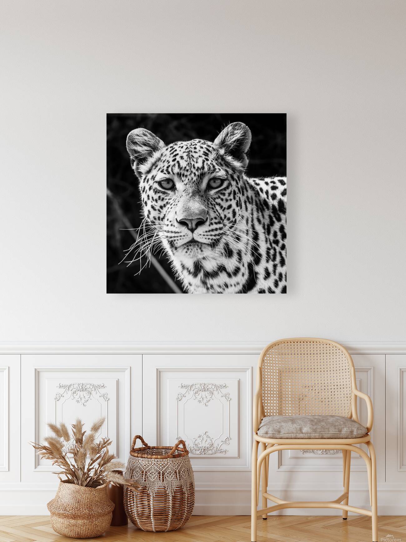 Leopard Portrait Reproduction