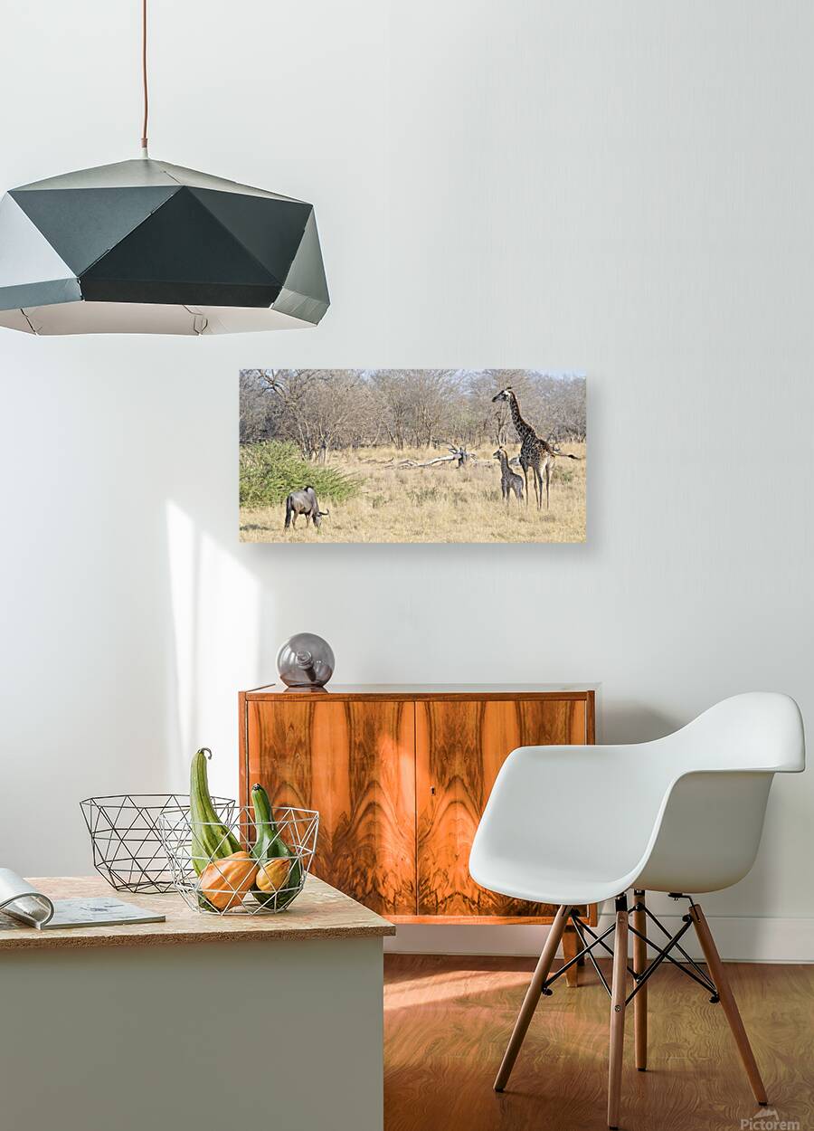 Art cw DN2 6486 Reproduction