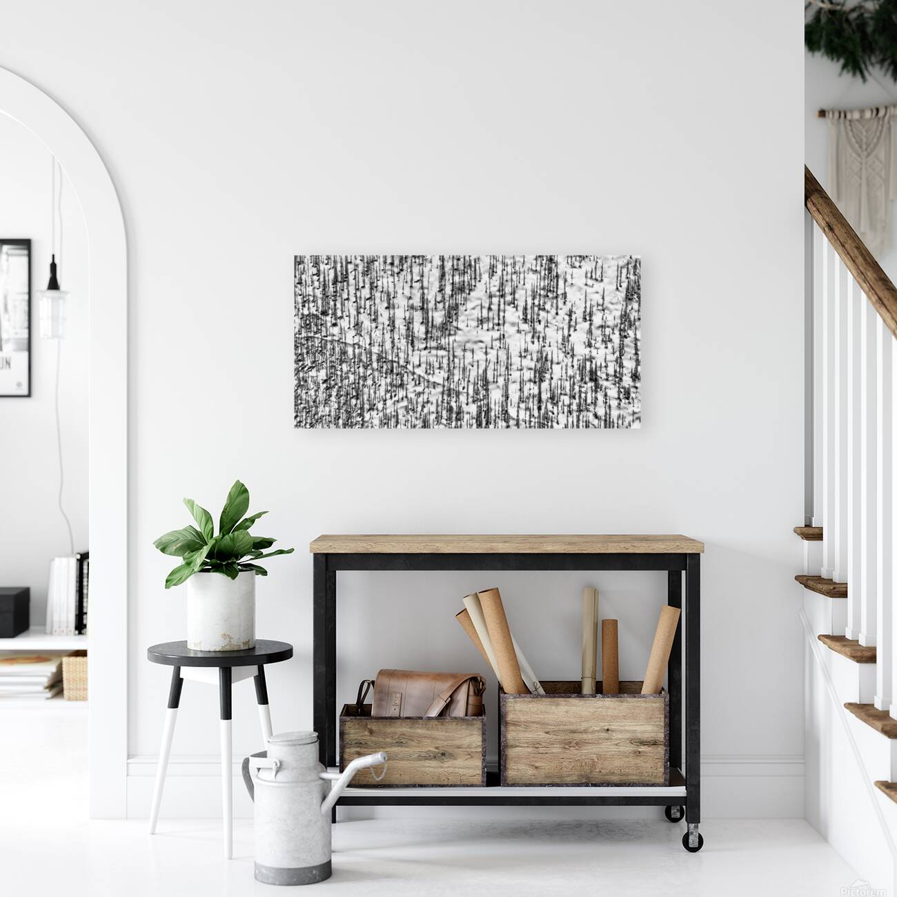 Shadow Forest Reproduction