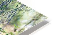 Formal Leopard HD Metal print