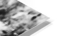 Zebra I got your back HD Metal print
