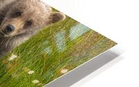 Muddy Paws HD Metal print