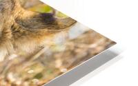 Deep vision HD Metal print