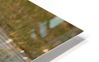 Big Mouth HD Metal print